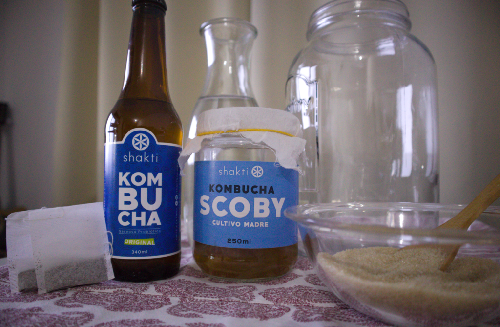 Ingredientes para hacer kombucha